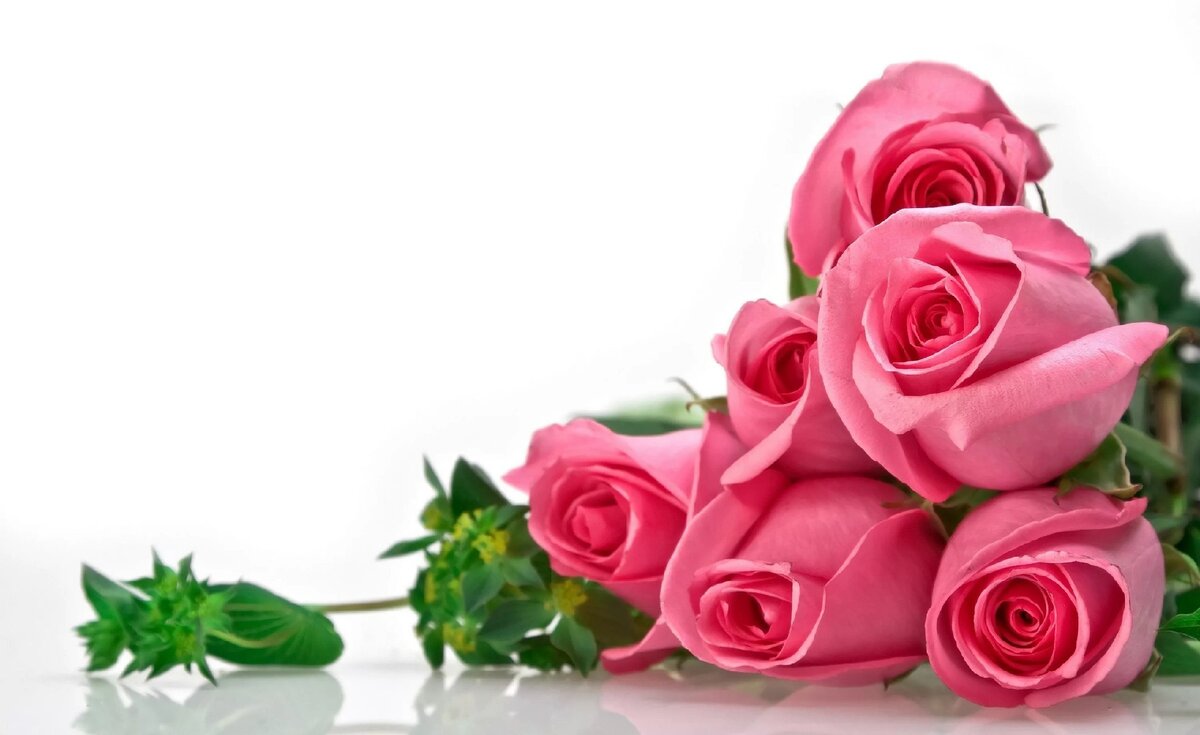 https://telegra.ph/file/79eccac3d2034d8b7d879.jpg