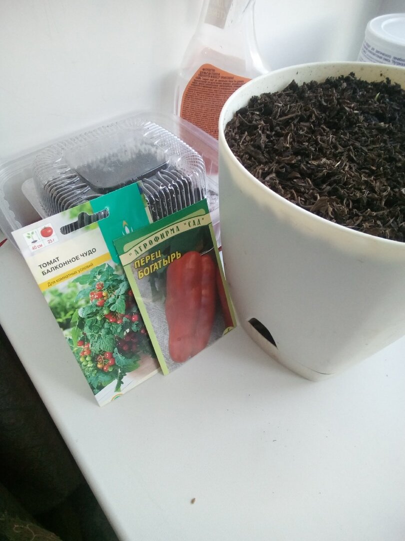 перец, помидоры и надежда