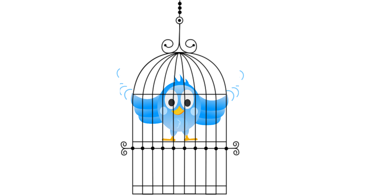Twitter замедлили. (Cage bird). License: Creative Commons 4.0 BY-NC