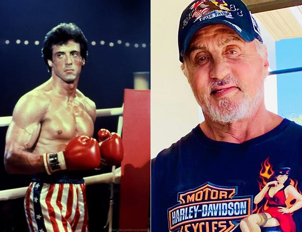 Источник фото:  https://popcake.tv/news/silvestra-stallone-obvinili-v-iznasilovanii