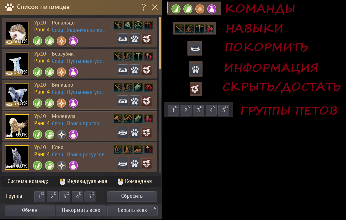 -2