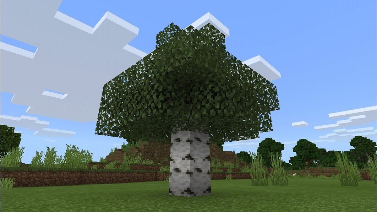 дерево как дерево