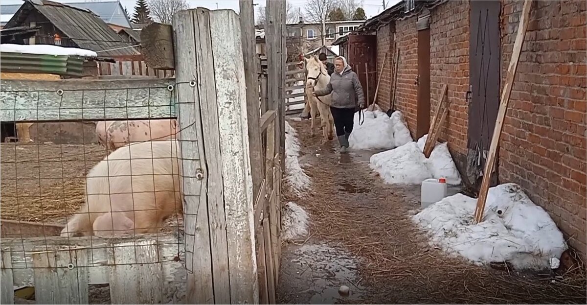 Здесь ширина прохода 2м, если убрать сугробы, лопаты и прочий мусор. Фото автора
