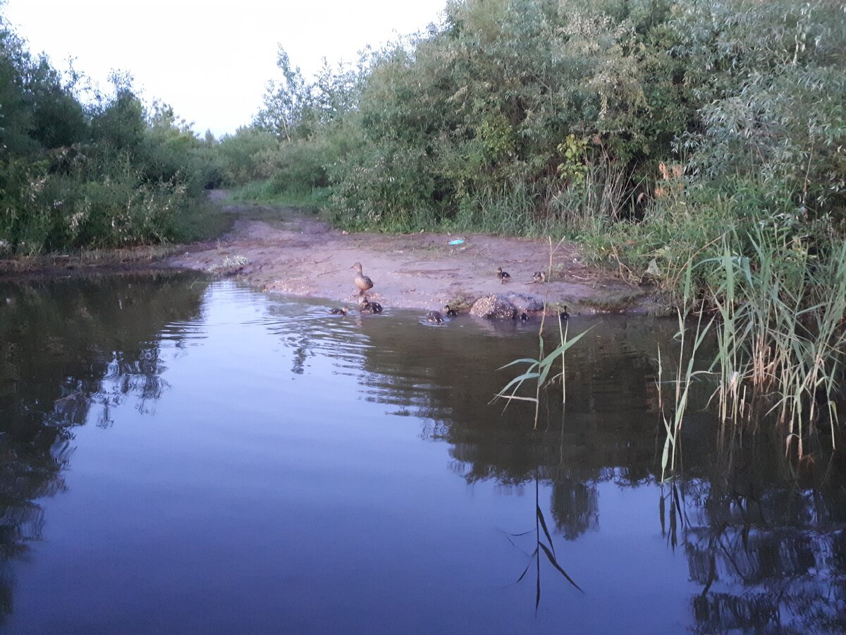 А можно ли воспитывать детей ремнём? Нельзя. Фото Трижды папа