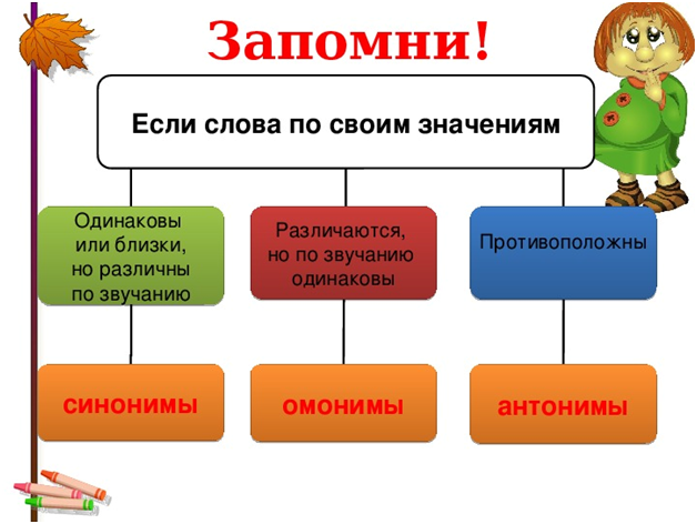 Что такой антонимы синонимы омонимы? — Есть ответ ✅