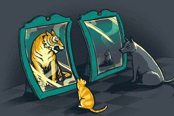 взято на яндекс-картинках