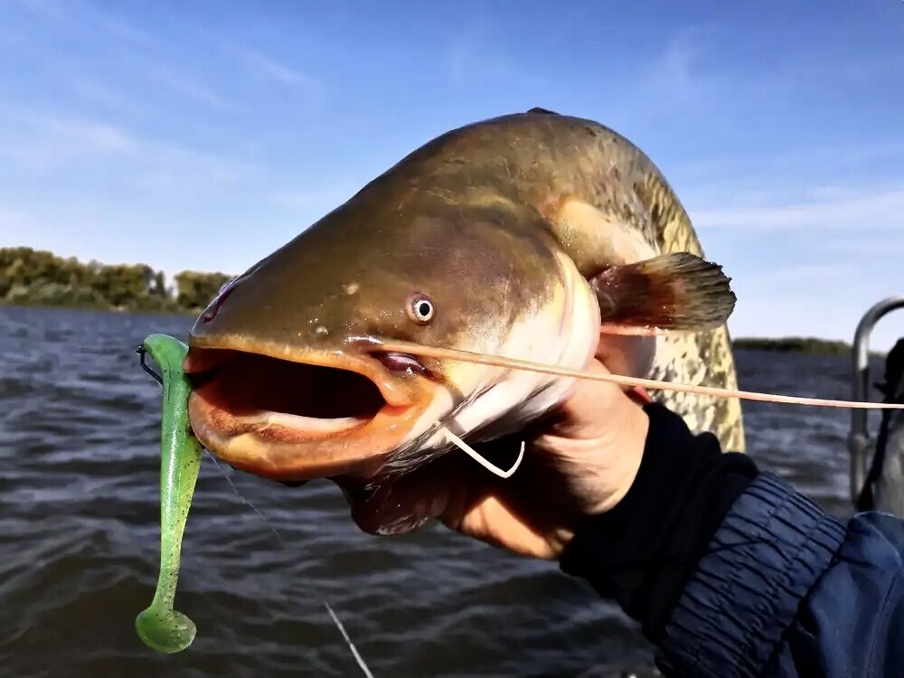 Взято ЯндексКАРТИНОК 