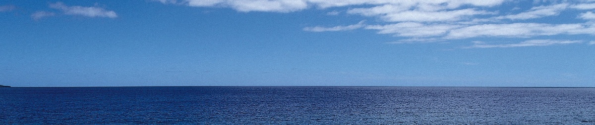 Всех люблю, цАлую 💕