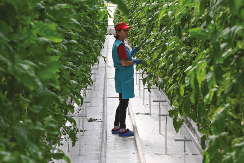 Фото: Лидия Ветхова 