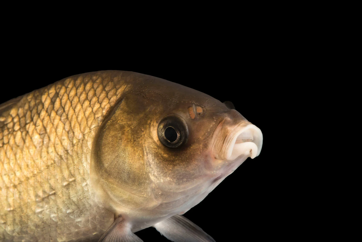 Фото в свободном доступе