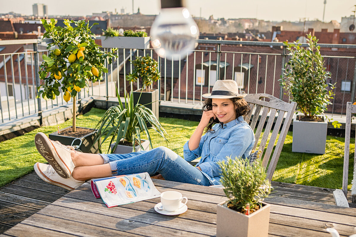 Лимонное дерево с плодами в кашпо LECHUZA