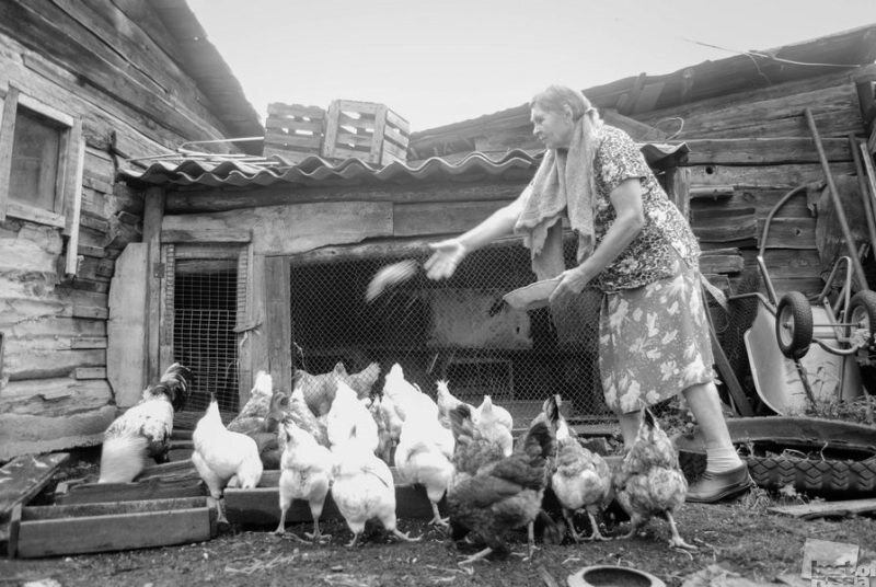 Частное хозяйство.