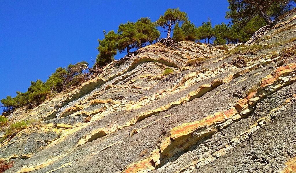 Фото автора. Просто для красоты :)