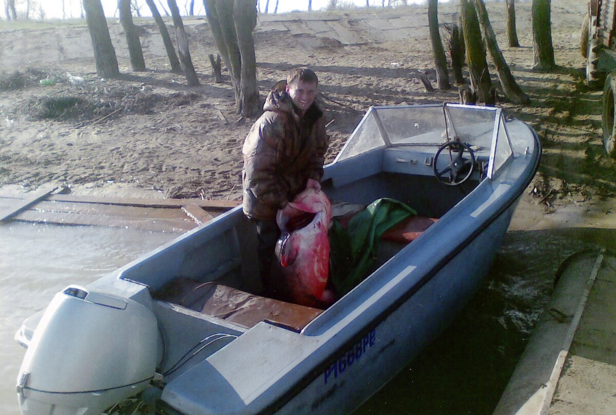 Некрупный сом, на 68кг