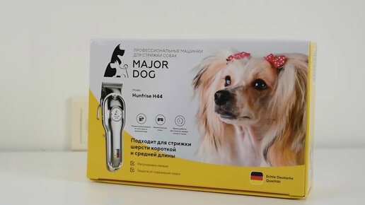 Major dog hunfrise