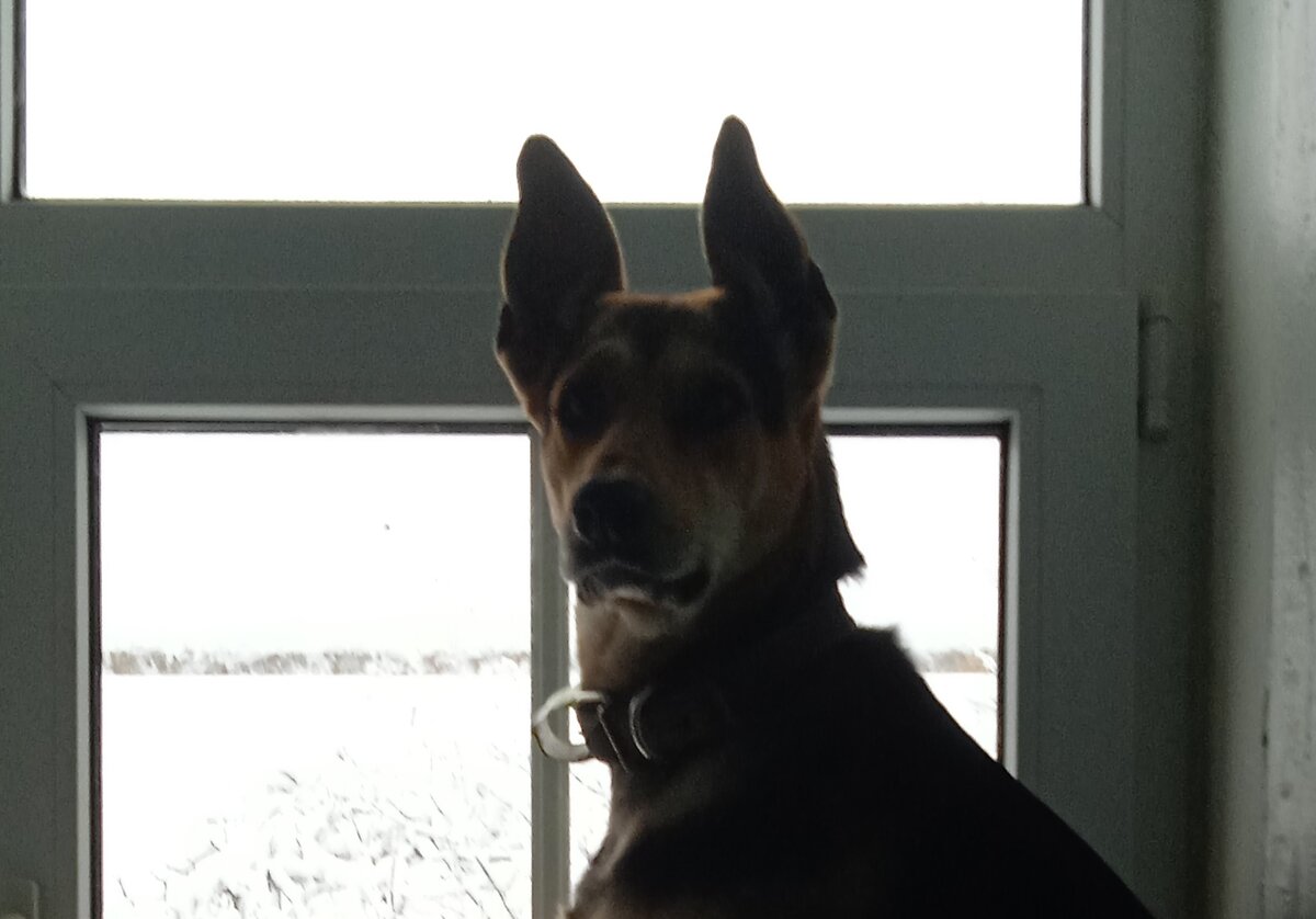 фото из личного архива