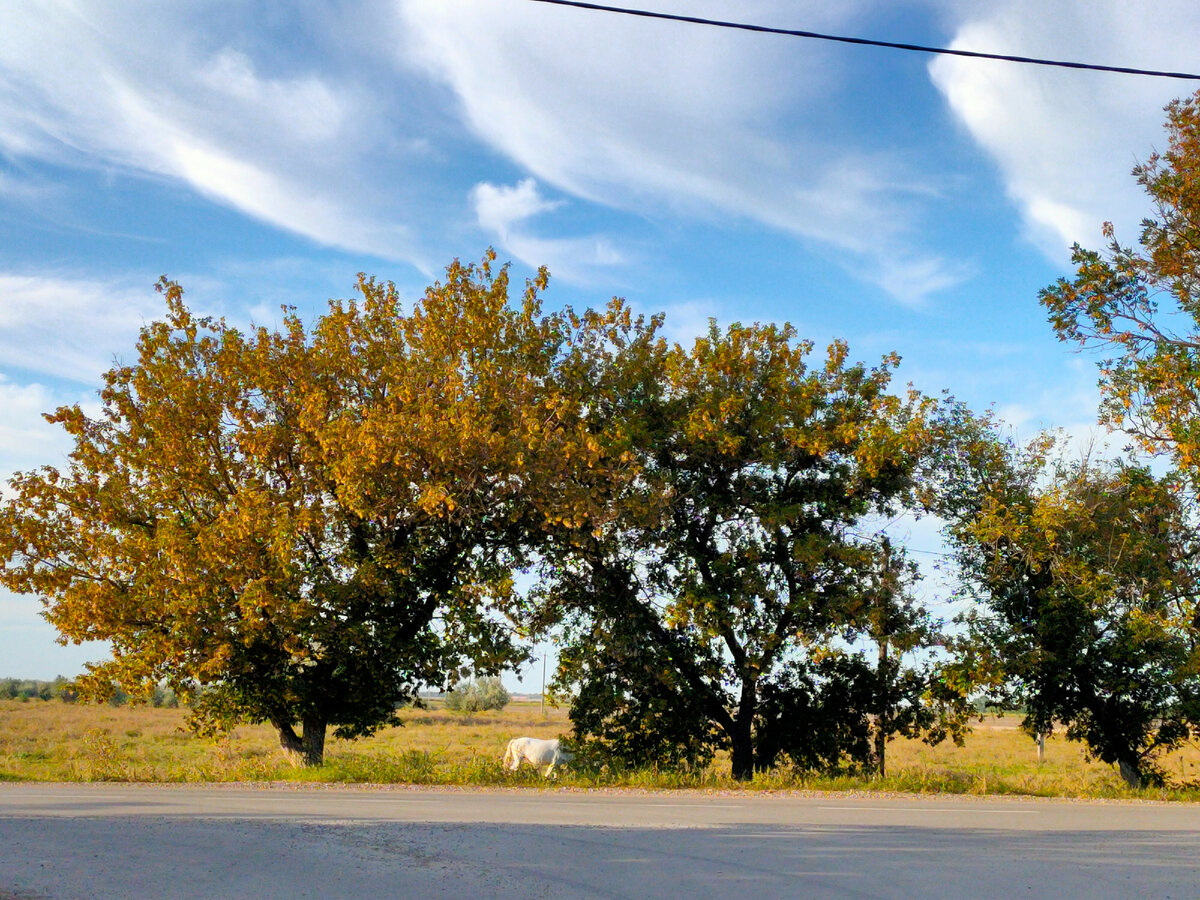 Фото автора канала "Девушка в зелёном саду"