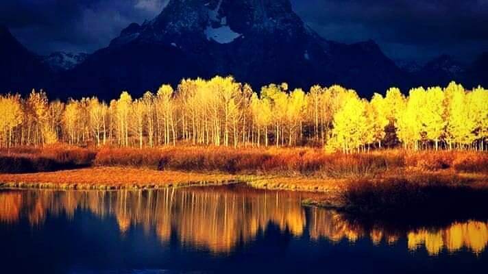 #просто_о_главном 🕊