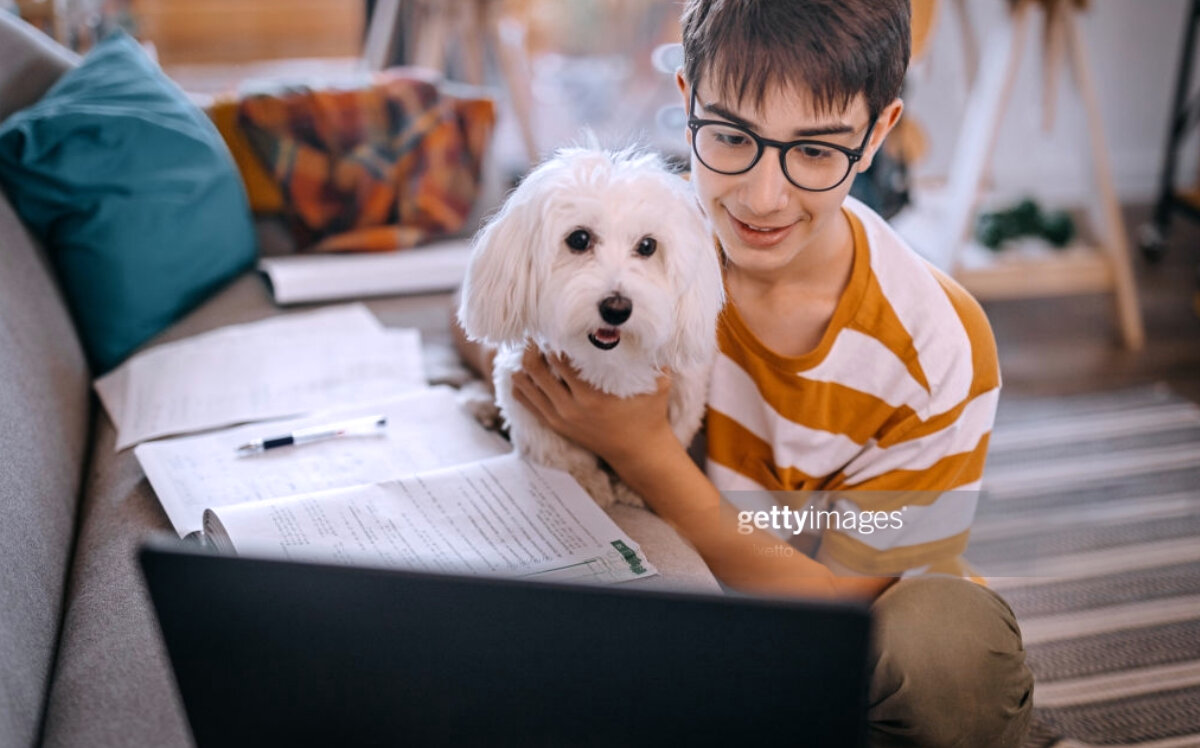 Ребёнок с собакой у компьютера. Источник: istockphoto.com/ru