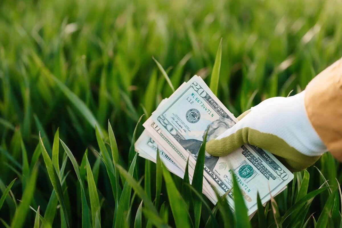 Фото из открытых источников.