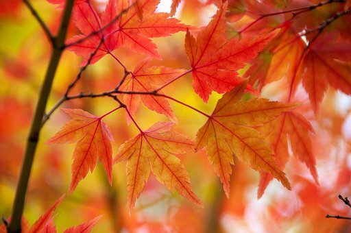 фото взято из открытых источников