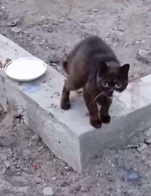 взгляд потерянный и уже потухший