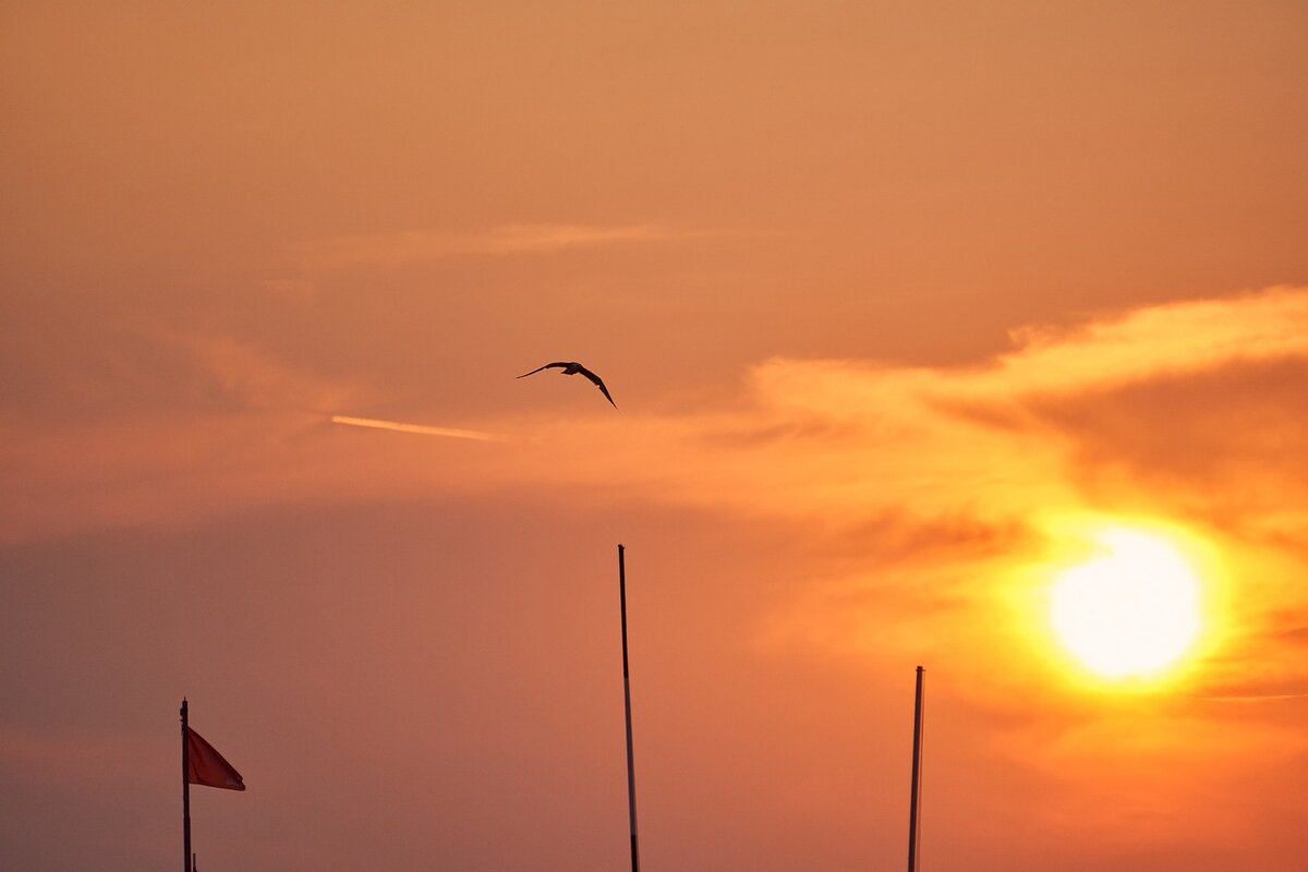 Геомагнитные возмущения приводят к небольшим сбоям в работе электронных устройств. Фото: Pixabay.com 