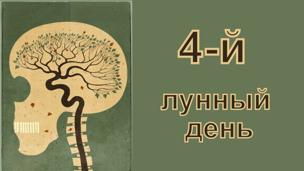 27 лунный день. 4-Й лунный день. 4 Лунный день характеристика дня. Сатабхиша накшатра. Значение лунный день 23.02.2022.