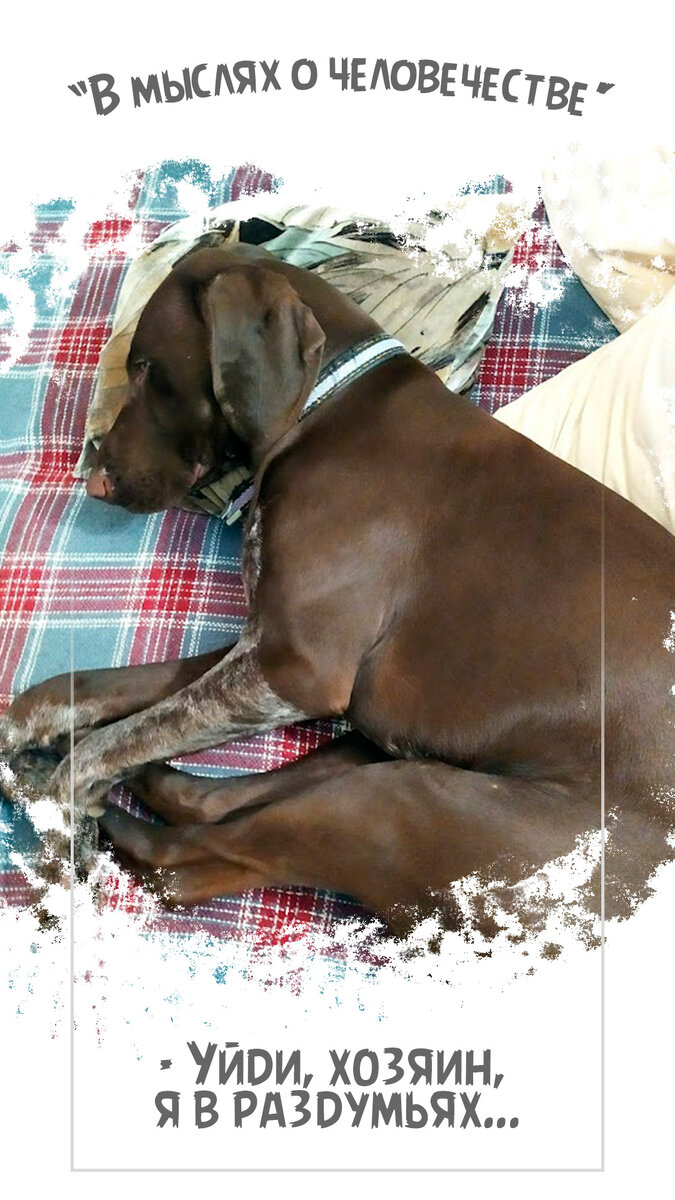 Лежа на диване и не то в голову придёт!