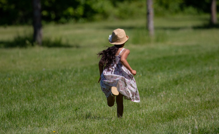 Фото для иллюстрации статьи взято с сайта Pixabay.com