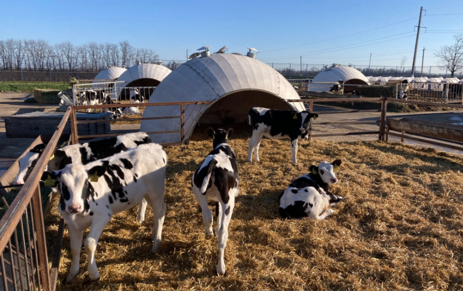 Фото автора. Современное МТФ