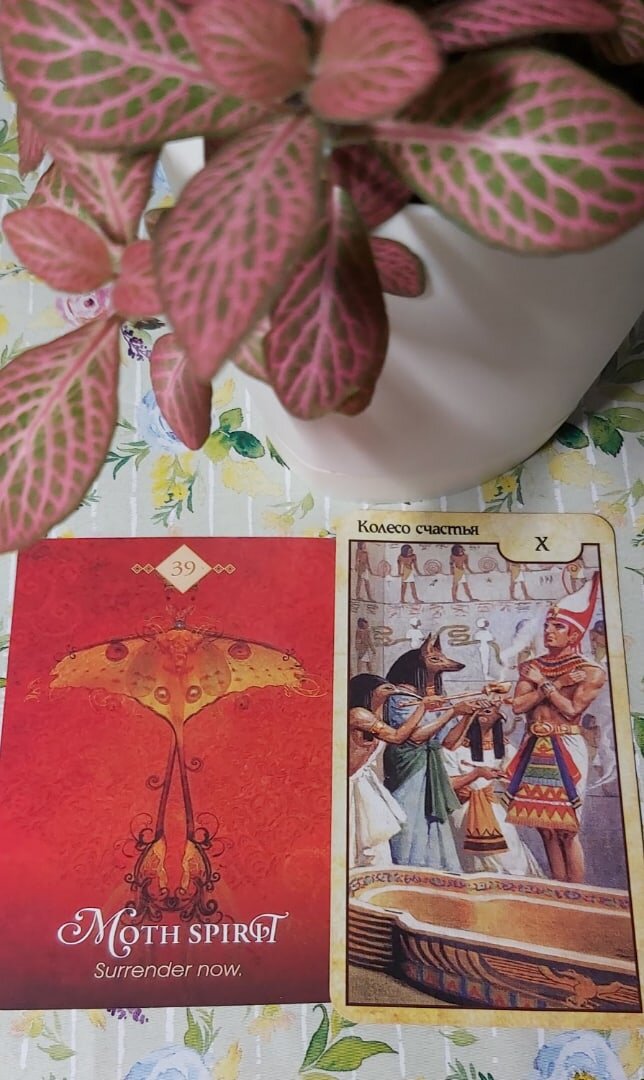 Колоды: "Таро Вечности. Карты фараона Рамзеса" и "The Spirit Animal Oracle" by Colette Baron-Reid