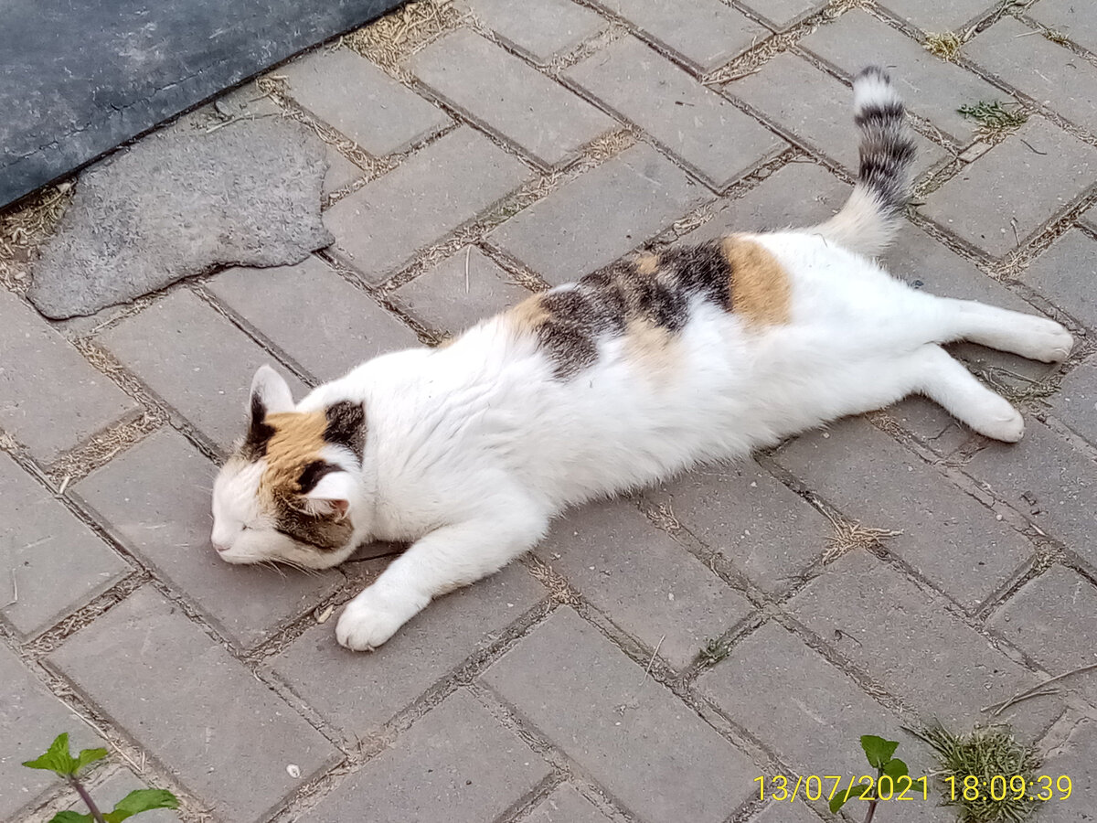 Можно и на тротуаре полежать, не всё на песке валяться