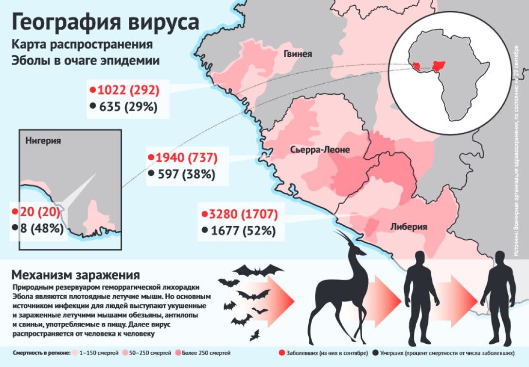 Сколько человек в день умирает на земле. Эбола распространение на карте. Распространение эпидемии. Лихорадка Эбола карта распространения.