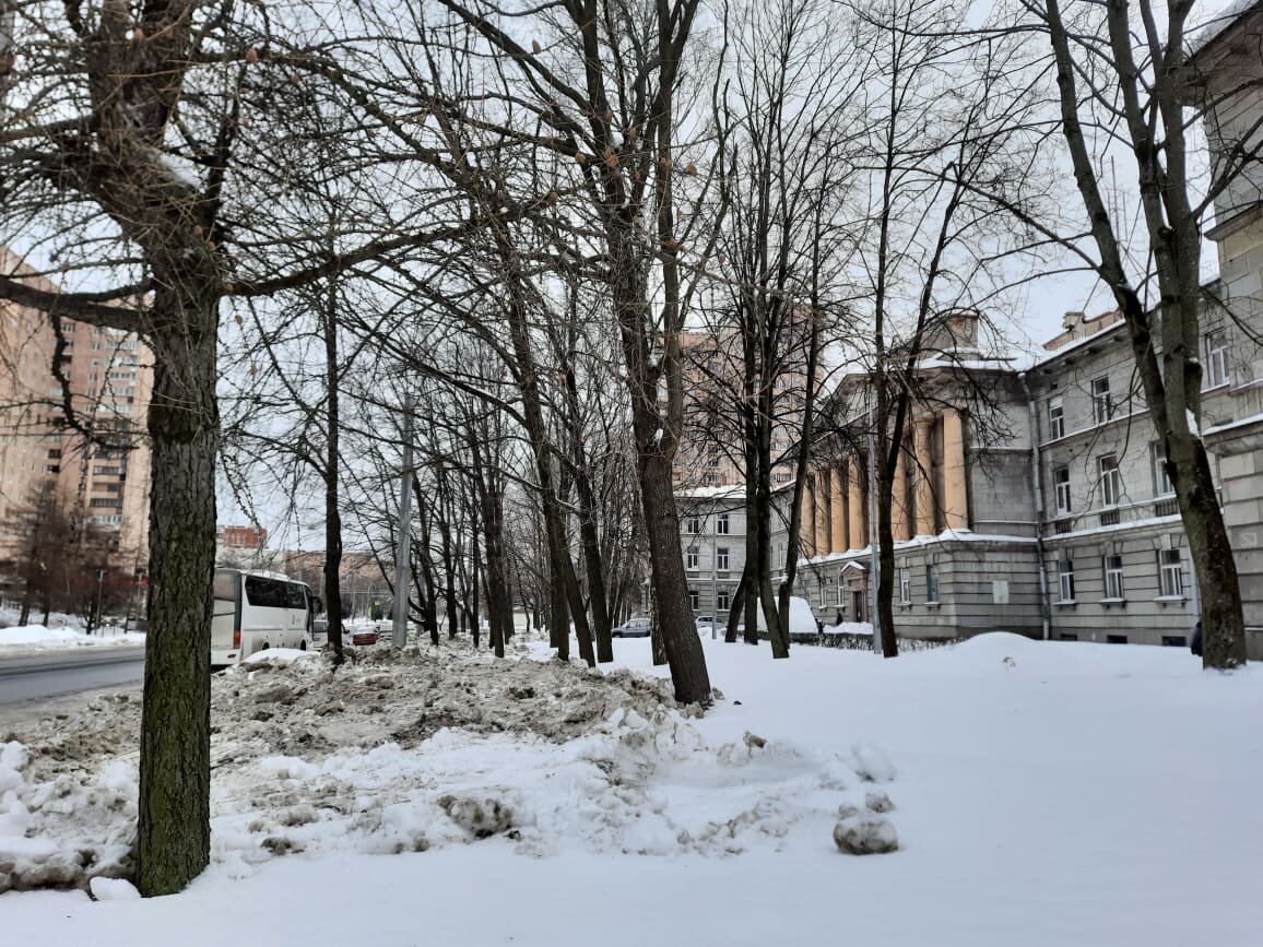 Снег у дороги разъезжен в том месте, где 10 февраля пытались установить опоры под электричество.