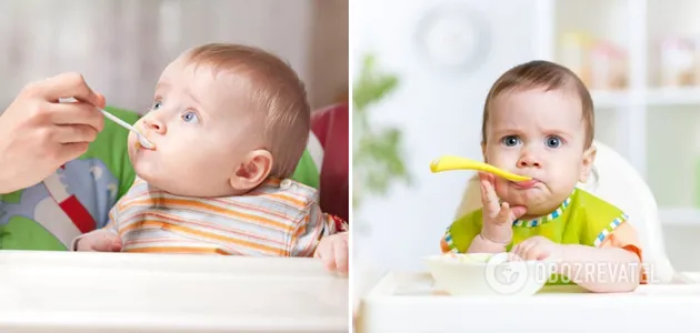 Из чего приготовить домашнее мясное пюре