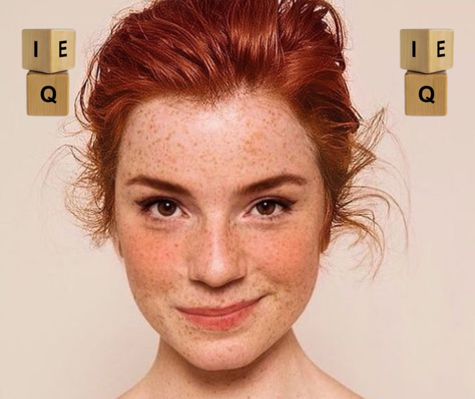 Иллюстрации к тесту созданы автором, источник изображений pixabay.com