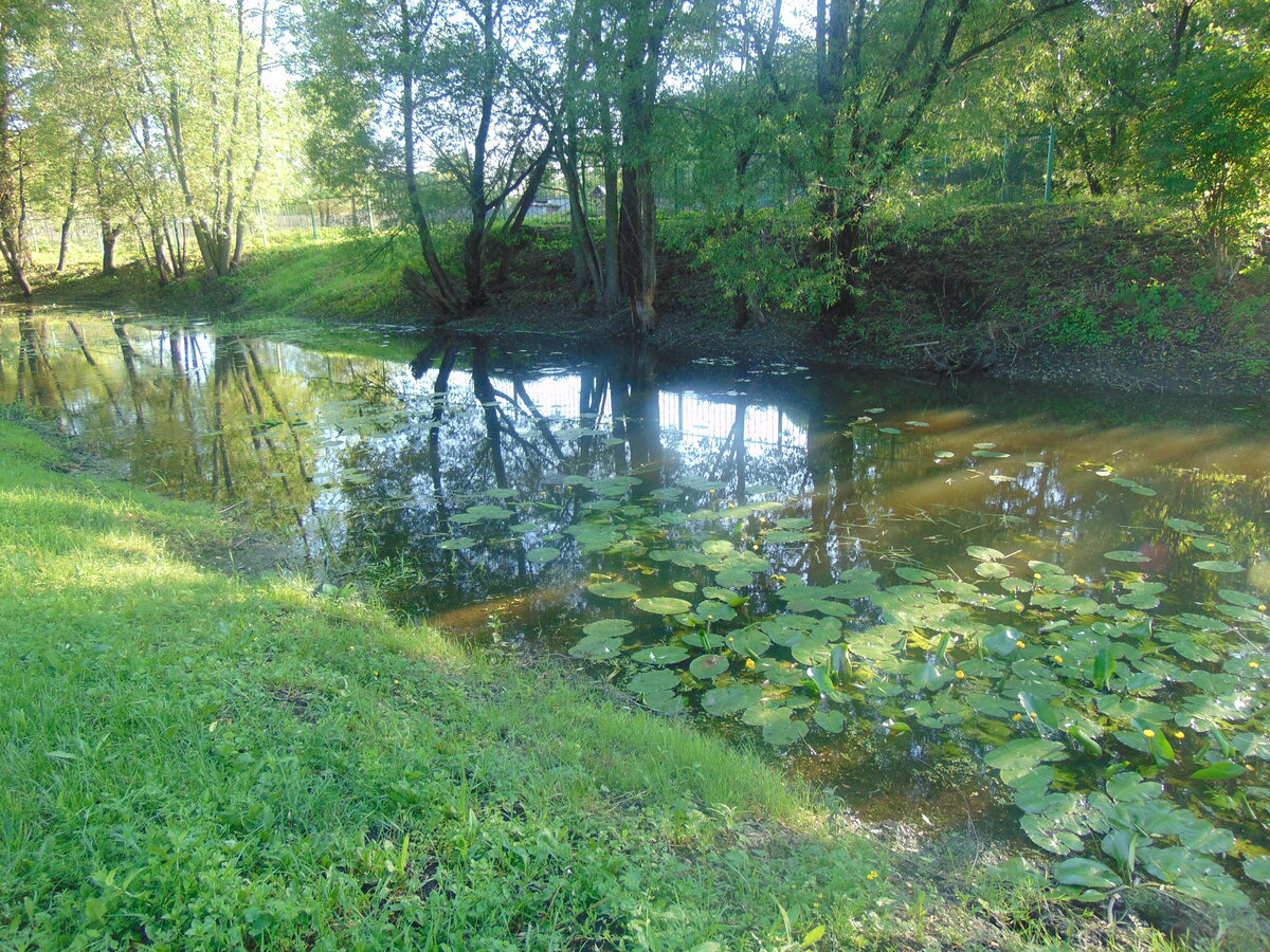 Фото автора канала