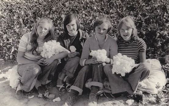 Ученики школы №9 на уборке хлопка. Пахтакор. Джизакская область. 70-е.