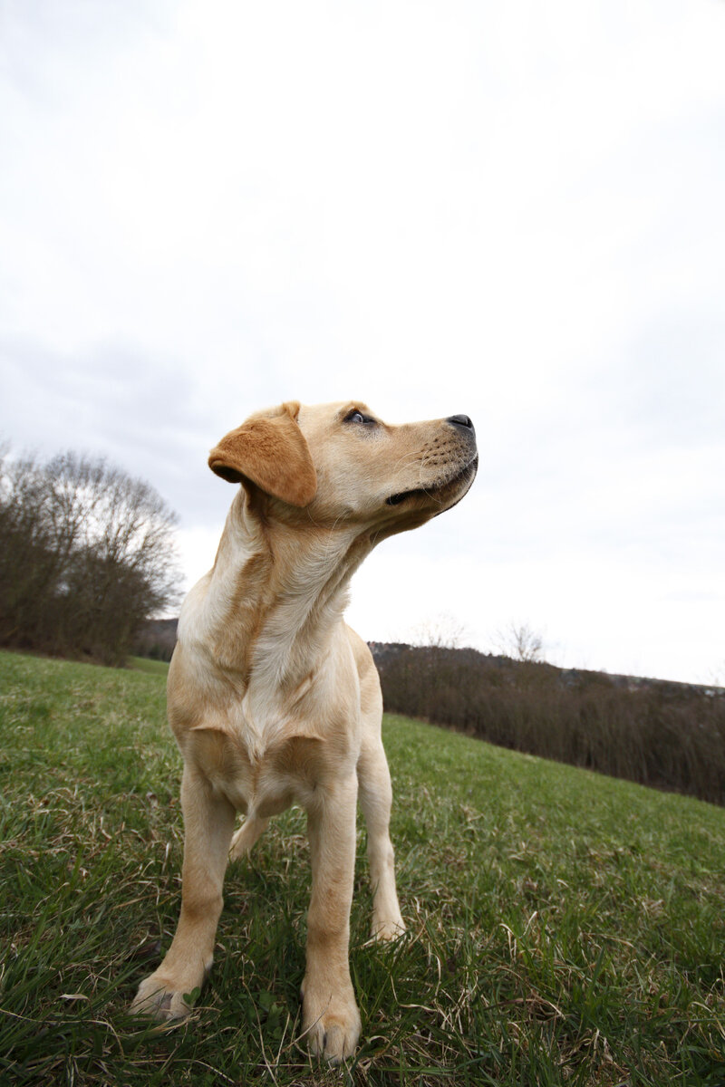 Фото: Legion-media