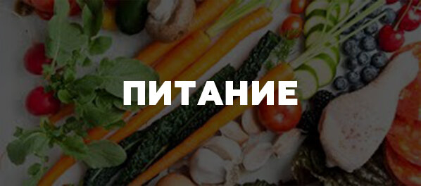 Рекомендации по питанию