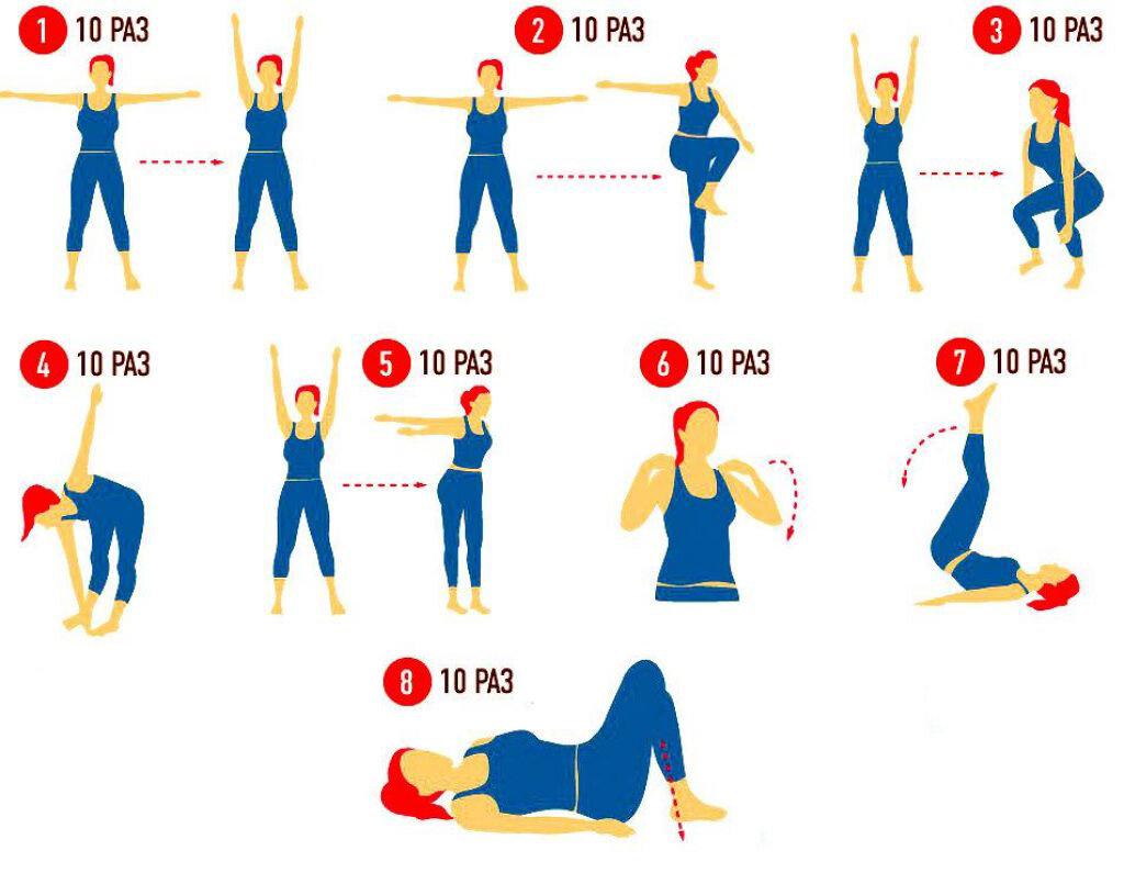 Сколько упражнений включать в зарядку