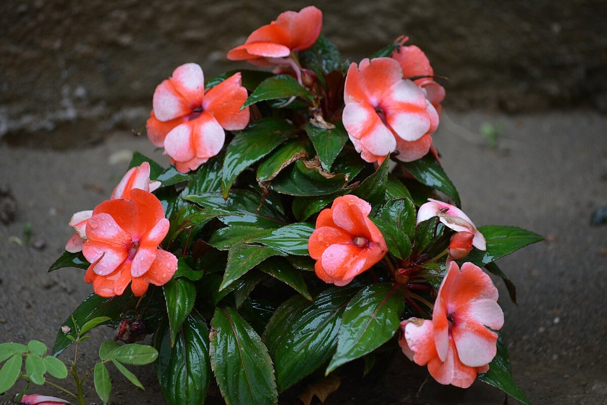 Источник: Яндекс.Картинки