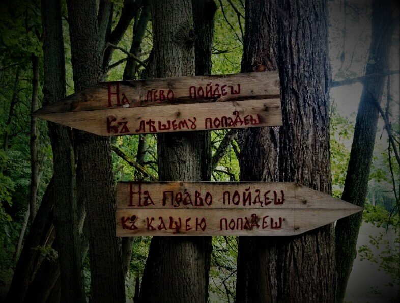 Картинка из Интернета