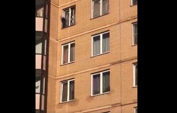 Фото: скриншот ВКонтакте