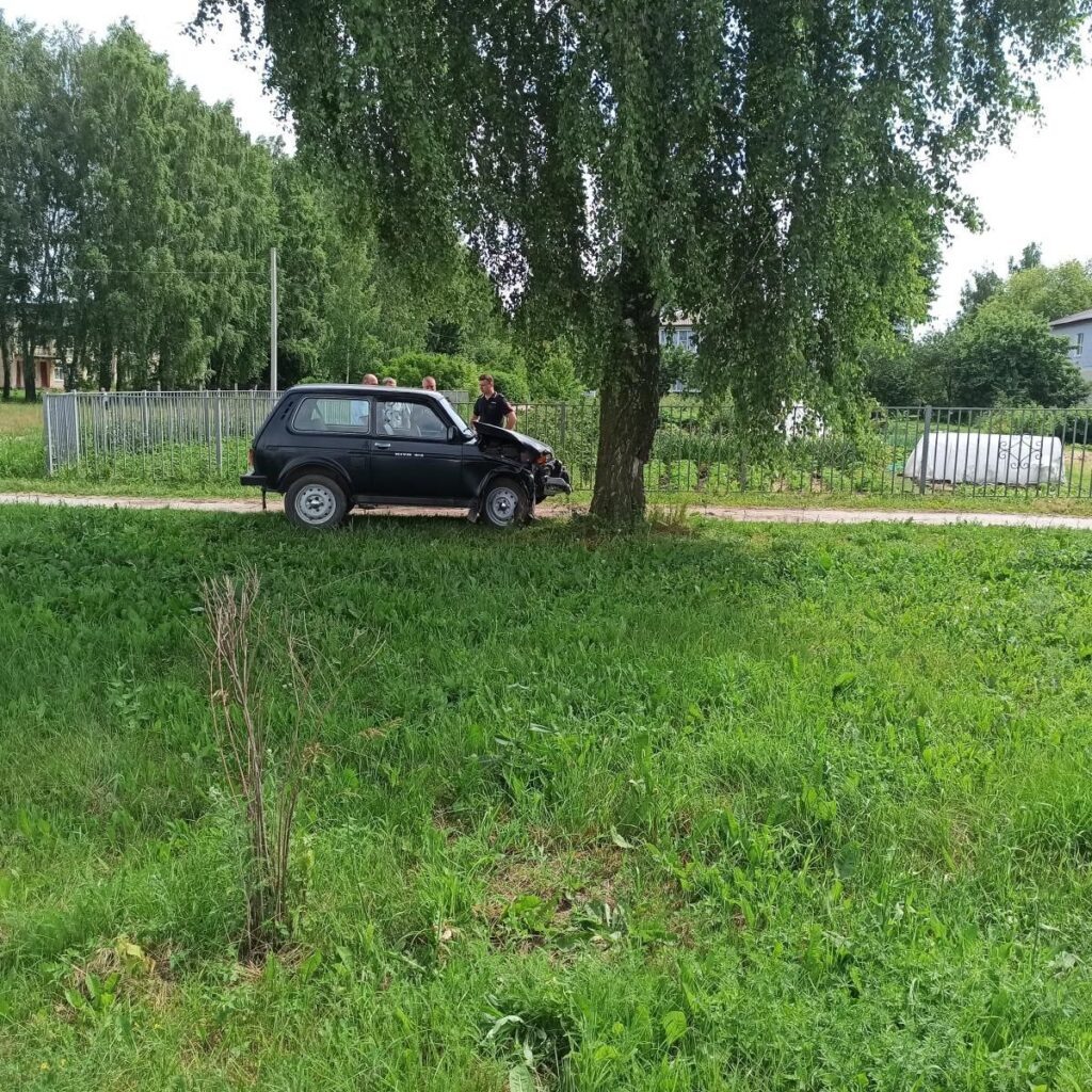    Фото Госавтоинспекции Рязанской области