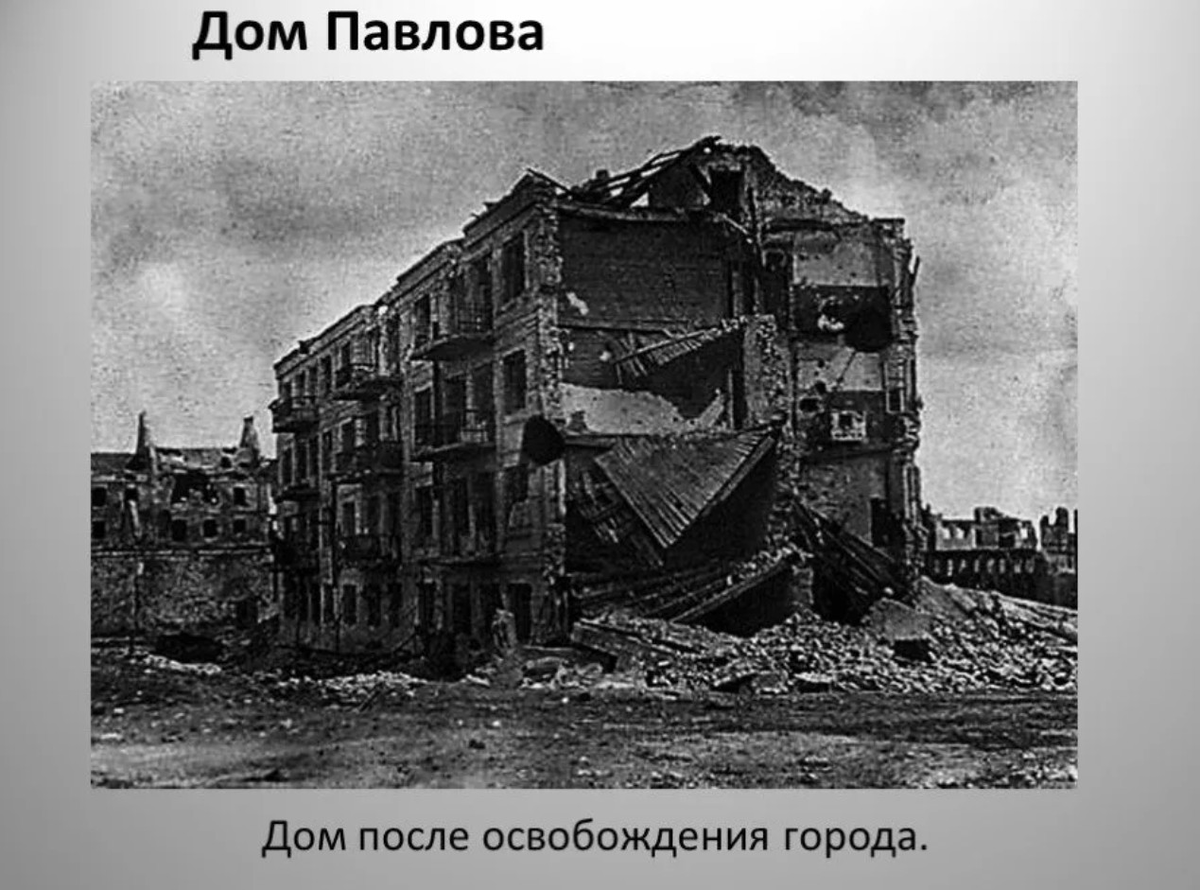 Дом павлова военные фото Знаменитый дом Павлова в Волгограде, который вовсе не дом и вовсе не Павлова Бюд