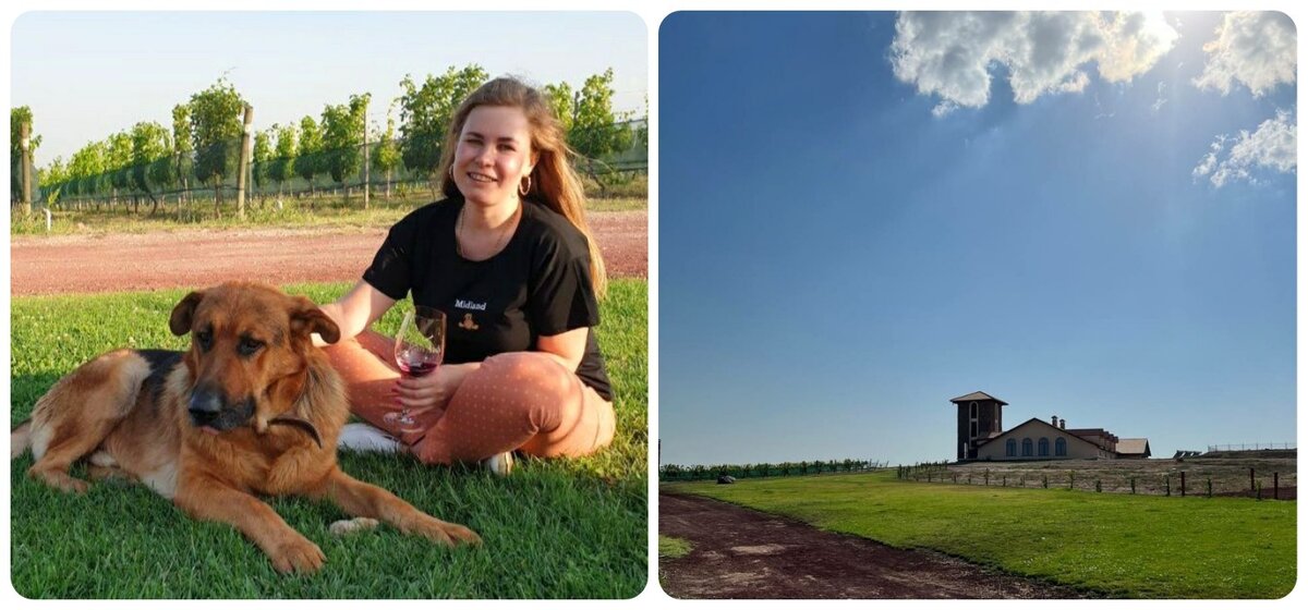 С собакой Виски на винодельне Van Ardi