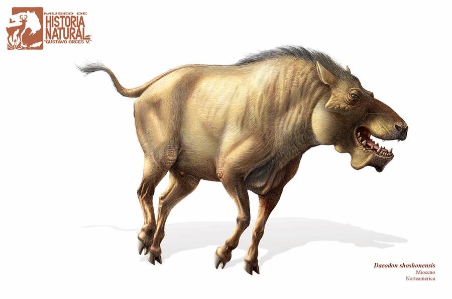 Ну чё уставился?