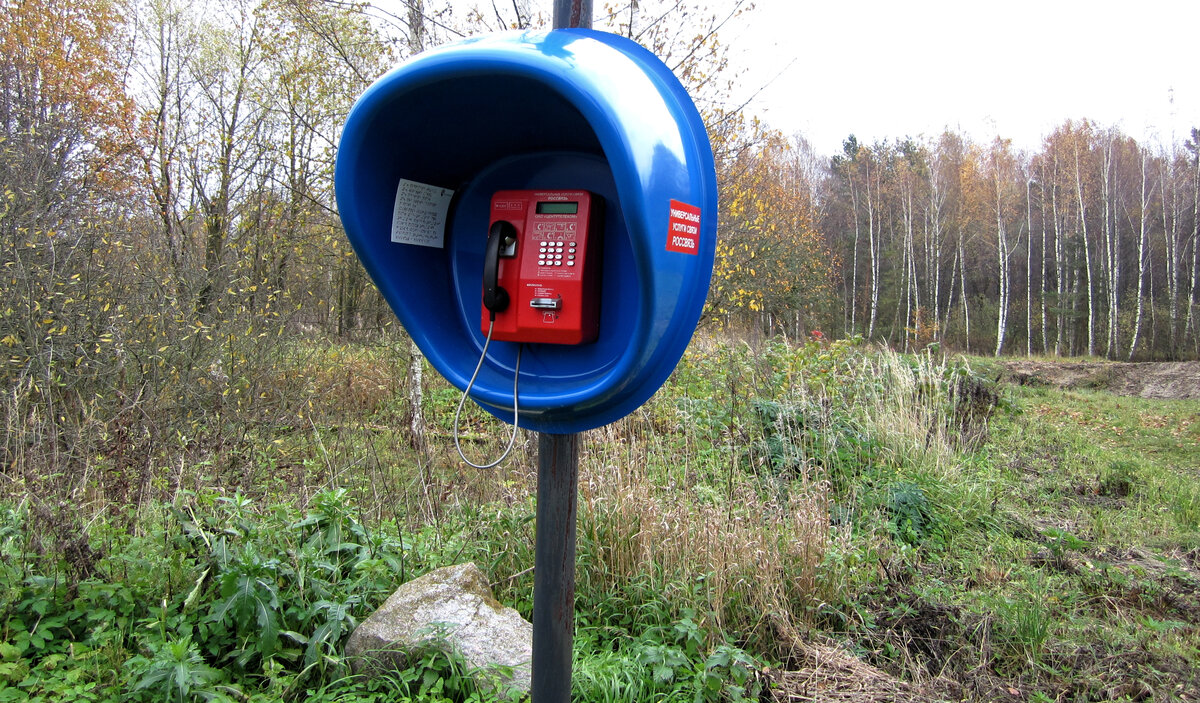 Так и простоял все эти годы невостребованным наш деревенский таксофон на отшибе! Фото автора.